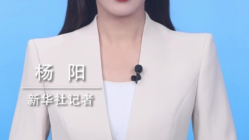 企业IT运维服务合同，如何精准匹配需求？**